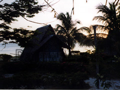 Ferienhaus auf Coco Loco