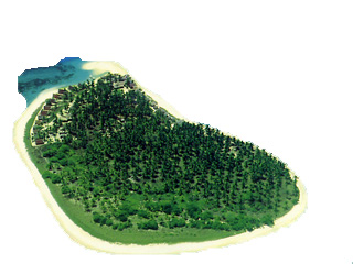 Insel Coco Locol